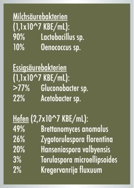 Milchsäurebakterien, Essigsäurebaterien, Hefen