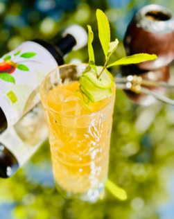 Ein Glas mit einem gelben Getränk, Eiswürfeln und einer Gurkenscheibe, dekoriert mit grünen Blättern, daneben eine Flasche mit einem bunten Etikett.