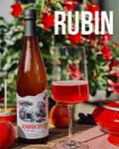 Eine Kombuchaflasche und ein gefülltes Glas auf einem Tisch, umgeben von roten Blumen und Äpfeln, mit dem Wort "RUBIN" oben rechts.