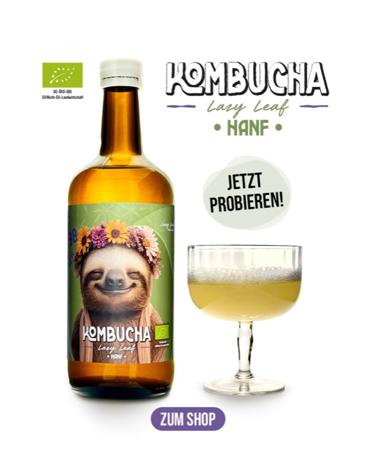 Eine braune Flasche mit einem Etikett, das ein Faultier mit Blumenkranz zeigt, daneben ein gefülltes Glas und der Text "Kombucha Long Leaf Hanf" sowie "Jetzt probieren!" und ein Button mit "Zum Shop".