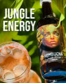 Eine Flasche Kombucha mit einem bunten Etikett neben einem Glas mit sprudelndem Getränk, umgeben von grünen Blättern. Text: "Jungle Energy".