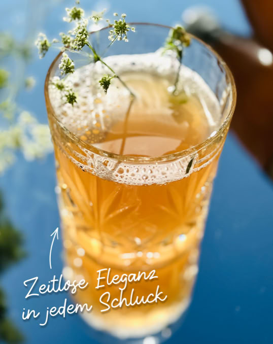 Ein Glas Kombucha Classic von Familie Fischer 1898