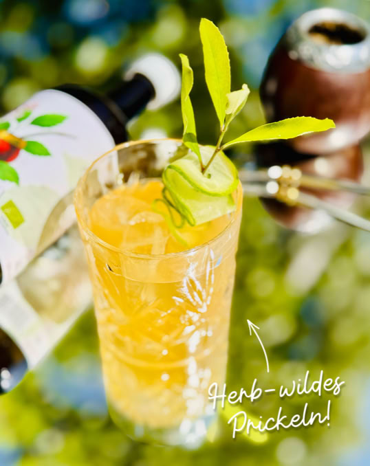 Ein Glas mit einem orangefarbenen Getränk, Eiswürfeln und einer grünen Garnitur, daneben eine Flasche und der Text "Herb-wildes Prickeln!".