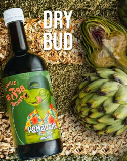 Eine Flasche mit einem Etikett, das eine grüne Figur in einem bunten Hemd zeigt, steht auf einer Oberfläche aus getrockneten Pflanzen. Daneben liegt eine Artischocke. Oben steht der Text "DRY BUD".