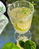 Ein Glas mit einem Getränk, Eiswürfeln, Limettenscheiben und einem Zweig frischer Kräuter, daneben grüne Blätter.