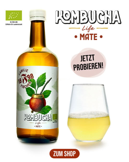 Eine Flasche Kombucha mit Mate-Geschmack und ein Glas mit gelblicher Flüssigkeit, daneben ein Button mit der Aufschrift "Jetzt probieren!" und ein weiterer Button mit der Aufschrift "Zum Shop".