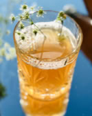 Ein Glas mit einem Kombucha, dekoriert mit kleinen weißen Blüten, steht auf einer blauen Oberfläche.