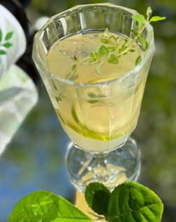 Ein Glas mit einem Getränk, Eiswürfeln, Limettenscheiben und einem Zweig frischer Kräuter, daneben grüne Blätter.