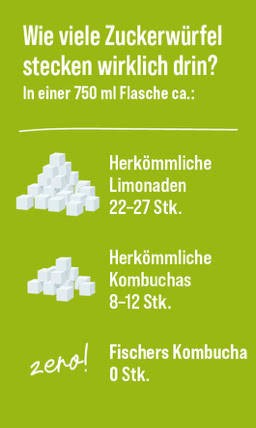 Wieviel Zucker trinkt man - Fischer Kombucha, zero Zucker