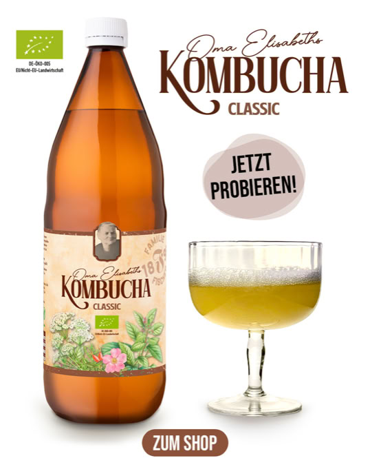 Kombucha Classic von Familie Fischer 1898 jetzt probieren