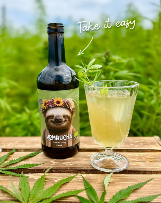 Eine Flasche mit einem Faultierbild und der Aufschrift "Kombucha" steht neben einem Glas mit einem gelben Getränk auf einem Holztisch, umgeben von grünen Pflanzen.