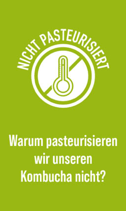 Unpasteurisierter Kombucha - Familie Fischer 1898